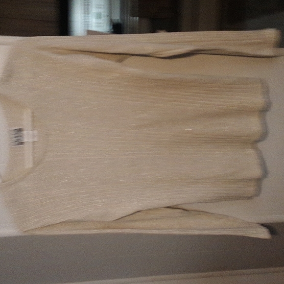 Anna GRAY Sparkly Sweater Size Medium. - Picture 1 of 5
